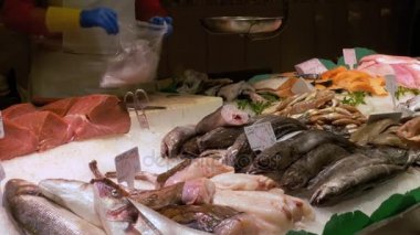 Deniz buz La Boqueria balık Market ürünleri ile vitrin. Barcelona. İspanya.