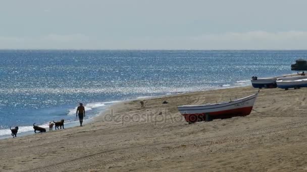 Un hombre jugando con perros cerca del mar. Barcos de pesca en la costa de Gibraltar, España . — Vídeos de Stock
