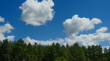 Bulutlar mavi gökyüzünde ağaçların üzerinden hareket ediyor. Timelapse