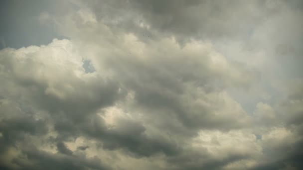 Nubes de lluvia gris se mueven en el cielo. Plazo de entrega — Vídeo de stock