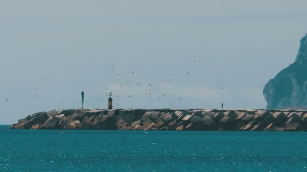 O homem vai para o farol, em torno dele voa um rebanho de gaivotas na praia. Gibraltar. Espanha . — Vídeo de Stock