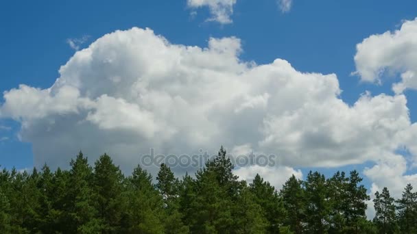 Chmury poruszają się w błękitne niebo nad drzewami. Timelapse — Wideo stockowe