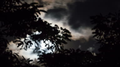 Karanlık bulutlar ve ağaçlar ile gece gökyüzünde dolunay taşır. Timelapse