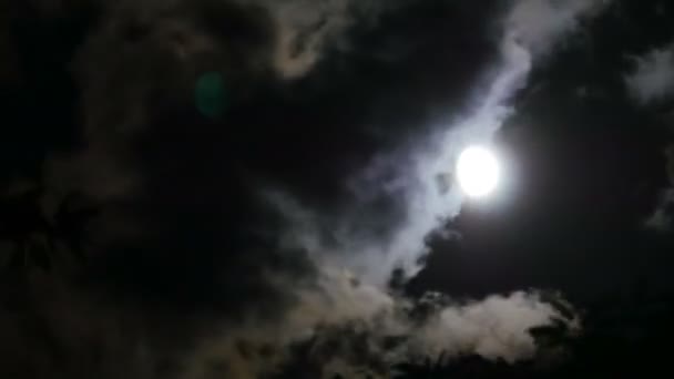 Luna llena se mueve a través de las nubes en el cielo nocturno. Cronograma — Vídeos de Stock