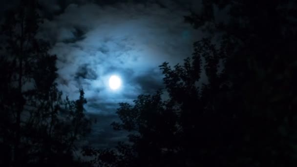 Der Vollmond wandert am Nachthimmel durch dunkle Wolken und Bäume. Zeitraffer — Stockvideo