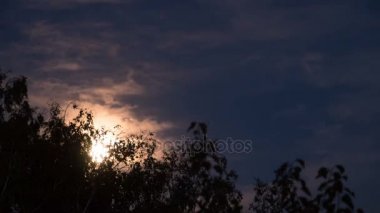 Karanlık bulutlar ve ağaçlar ile gece gökyüzünde dolunay taşır. Timelapse