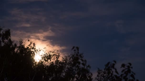 Úplněk se pohybuje na noční obloze přes temné mraky a stromy. Timelapse — Stock video