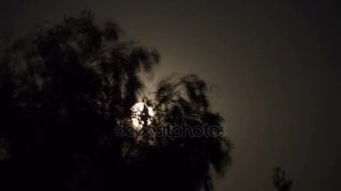Karanlık bulutlar ve ağaçlar ile gece gökyüzünde dolunay taşır. Timelapse
