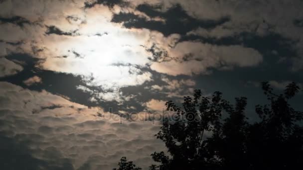 Full Moon flyttar på natthimlen genom mörka moln och träd. Timelapse — Stockvideo