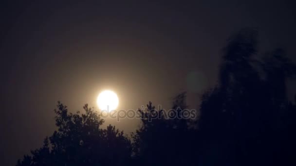 Full Moon Moves in the Night Sky through Dark Clouds and Trees. TimeLapse — Stock Video