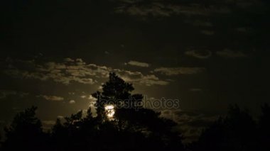 Karanlık bulutlar ve ağaçlar ile gece gökyüzünde dolunay taşır. Timelapse