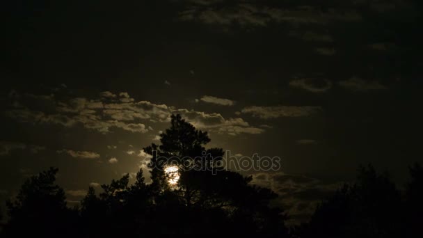 Full Moon se move no céu noturno através de nuvens escuras e árvores. Prazo de validade — Vídeo de Stock