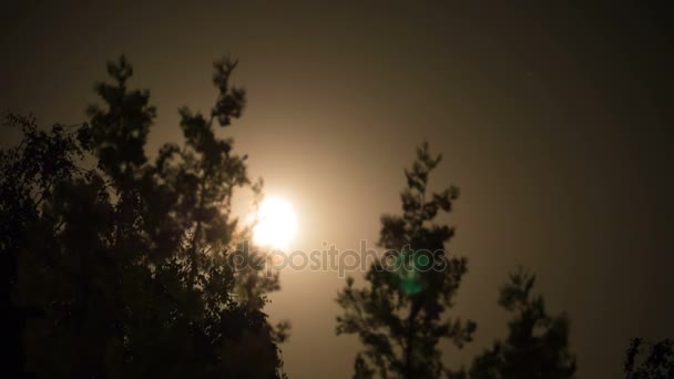Księżyc w pełni przenosi się na nocnym niebie przez ciemne chmury i drzewa. Timelapse — Wideo stockowe