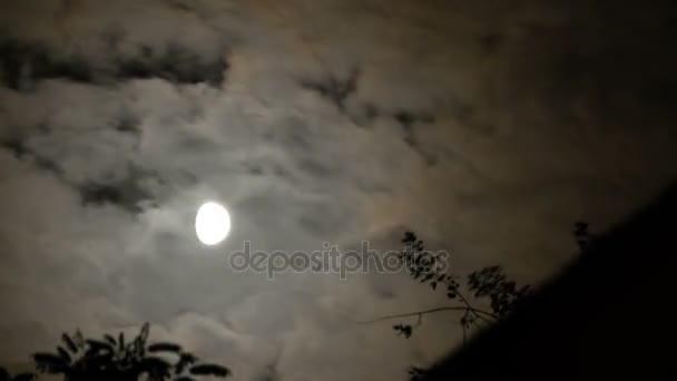 Full Moon Moves in the Night Sky through Dark Clouds and Trees. TimeLapse — Stock Video