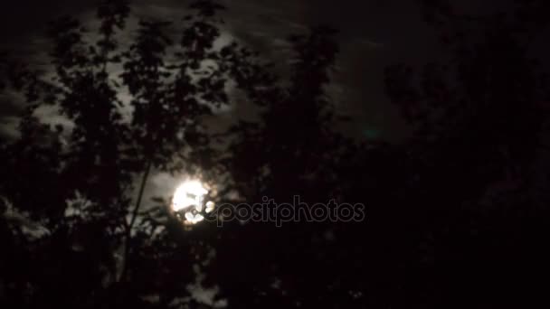 Der Vollmond wandert am Nachthimmel durch dunkle Wolken und Bäume. Zeitraffer — Stockvideo