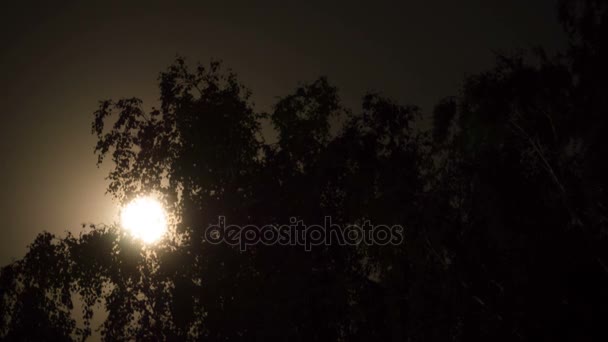 La pleine lune se déplace dans le ciel nocturne à travers les nuages et les arbres sombres. Délai imparti — Video