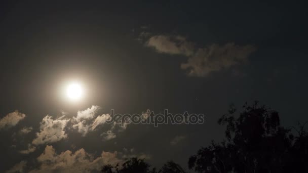 Full Moon flyttar på natthimlen genom mörka moln och träd. Timelapse — Stockvideo