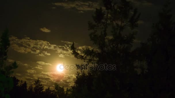 Księżyc w pełni przenosi się na nocnym niebie przez ciemne chmury i drzewa. Timelapse — Wideo stockowe