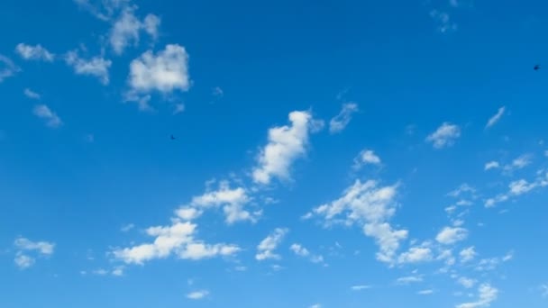 Molnen rör sig i den blå himlen. Timelapse — Stockvideo