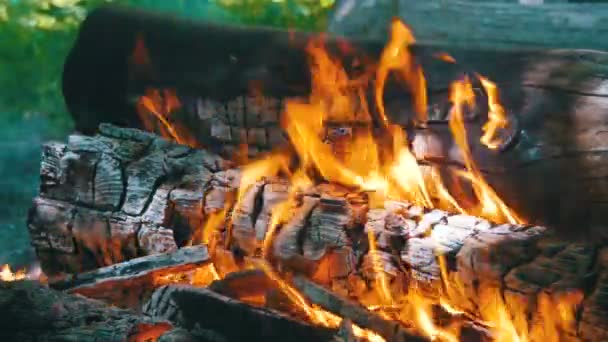 Antecedentes de un incendio, un tronco quema — Vídeos de Stock