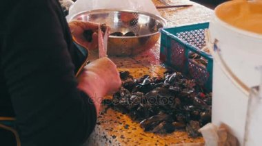 Ölçekleme ve midye piyasa ahır kesme balık satıcı