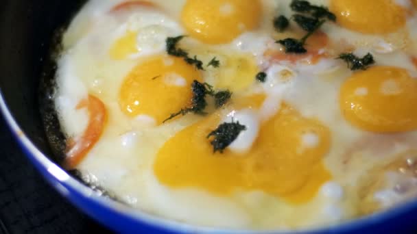Bir tava üzerinde hazırlanmış Fried Yumurta — Stok video