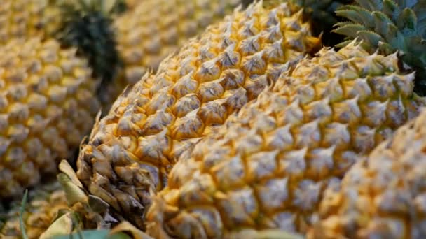 Piñas en el escaparate del mercado nocturno de Jomtien. Tailandia — Vídeo de stock