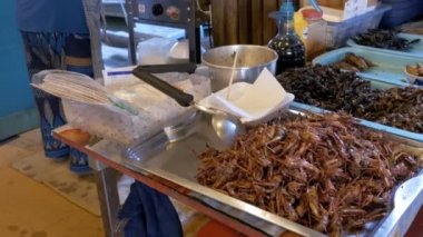 Pişmiş böcekler gıda Market bir plaka üzerinde farklı türleri. Asya, Tayland, Pattaya