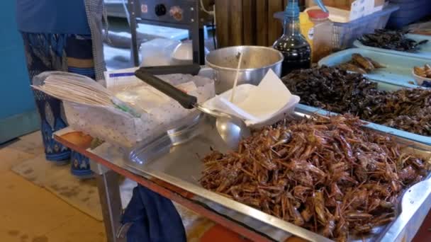 Различные типы готовых насекомых на тарелке на продовольственном рынке. Азия, Таиланд, Паттайя — стоковое видео