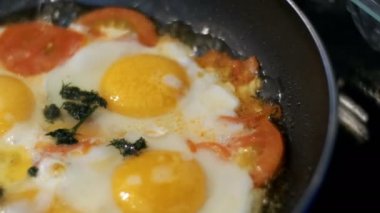 Bir tava üzerinde hazırlanmış Fried Yumurta