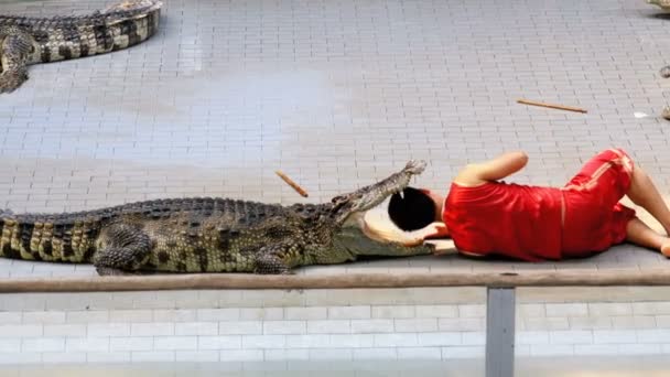 Κροκόδειλος δείχνουν. Ο προπονητής βάζει το κεφάλι του στα σαγόνια του κροκοδείλου. Ταϊλάνδη. Ασία — Αρχείο Βίντεο