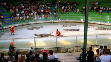 Timsah göster. Hayvan terbiyecisi ve timsah Arena. Tayland. Asya