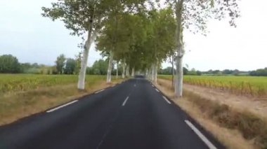 Motosikletçi ile Fransa'da doğal yol boyunca ağaçlar arasında gidiyor. POV