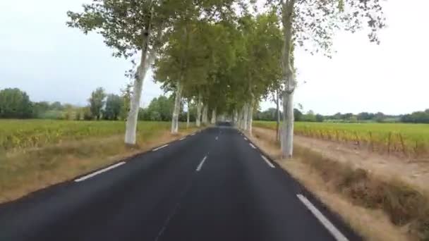 Motocyklista jede mezi stromy podél malebné silnici ve Francii. POV