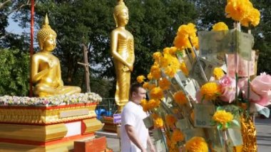 Kadife çiçeği büyük altın Buddha, Pattaya arka plan üzerinde bir dalı Tay kağıt para. Tayland.