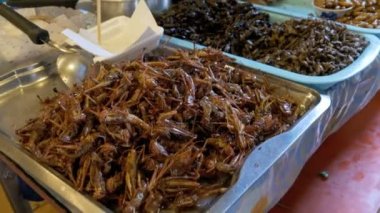 Pişmiş böcekler gıda Market bir plaka üzerinde farklı türleri. Asya, Tayland, Pattaya