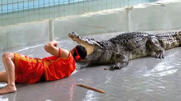 El hombre pone su cabeza en mandíbulas de cocodrilo. Granja de cocodrilos Pattaya. Tailandia — Vídeos de Stock