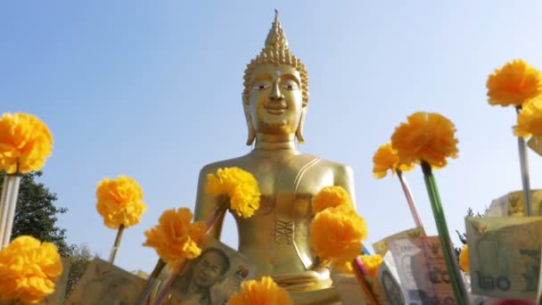 Thajské darování peněz stromy v chrámu velkého zlatého Buddhy, Pattaya. Thajsko. — Stock video
