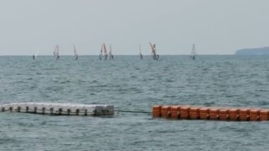 Sörfçü yelkenleri olan bir grup ile denizin dalgaları gidiyor. Pattaya, Tayland