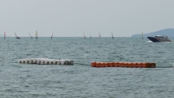 Группа серферов с саилами катается по волнам в море. Паттайя, Таиланд — стоковое видео