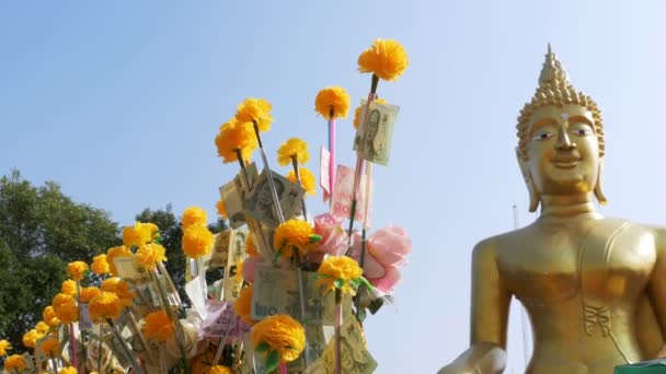 Thailändska pappers-pengar på en gren av Marigold på bakgrunden av stora gyllene Buddha, Pattaya. Thailand. — Stockvideo