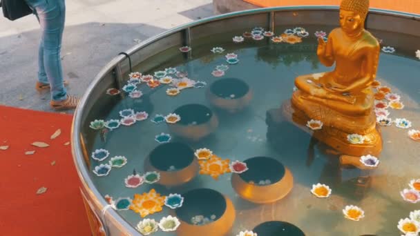 Colorful Candles in Lotus Shape Floating on Water in a Buddhist Temple. Pattaya. Thailand. — Stock Video