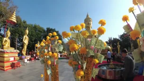 Thai adomány pénzt fák Pattaya nagy arany Buddha temploma. Thaiföld. — Stock videók