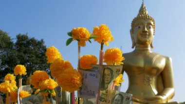 Para ağaçlarda Tapınağı büyük altın Buda, Pattaya Tayland bağış. Tayland.
