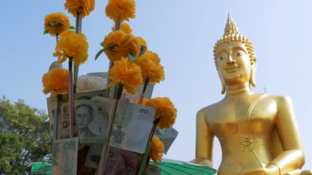 Thajské papírové peníze na větvi Marigold na pozadí velkého zlatého Buddhy, Pattaya. Thajsko. — Stock video