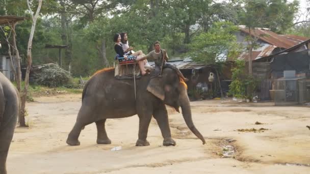 Toeristen rijden op olifanten. Boerderij van de olifant in Thailand, Pattaya. — Stockvideo