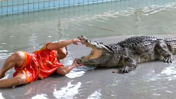 Man sticker huvudet i munnen på krokodilen. Pattaya krokodilfarm. Thailand — Stockvideo