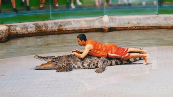 Krokodilleshow. Dyretræner og krokodiller i arenaen. Thailand. Lande i Asien – Stock-video