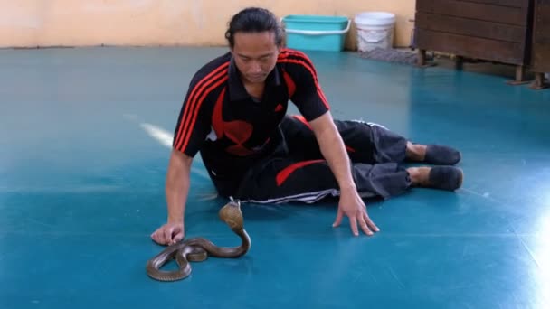 "Snake Show". Snake Handler mostra truques com cobras venenosas. Tailândia — Vídeo de Stock