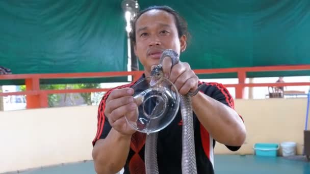 Snake Toon. Snake Handler toont trucs met giftige slangen. Thailand — Stockvideo